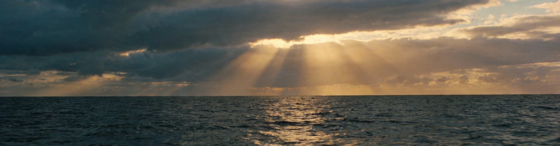 Global Projects & Case Studies