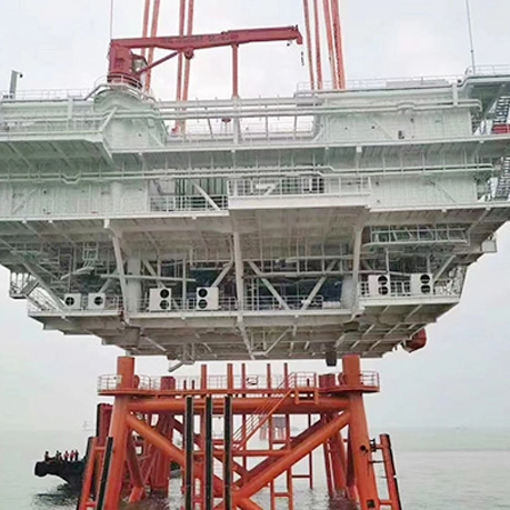 Offshore Crane