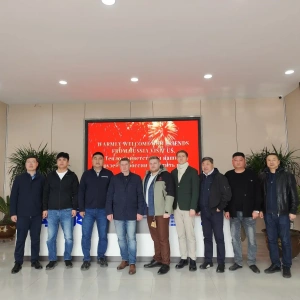 International Clients Witness Successful Marine Crane Acceptance Test