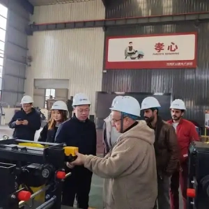 International Clients Visit YUNTIAN GROUP CRANE Factory for Project Inspection