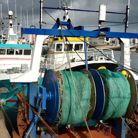 Ocean-Going Merchant Ships