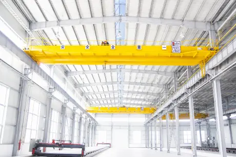 Double Girder VFD Control Double Lifting Speed 15ton 25ton 30ton European Model 25m Span Bridge Crane